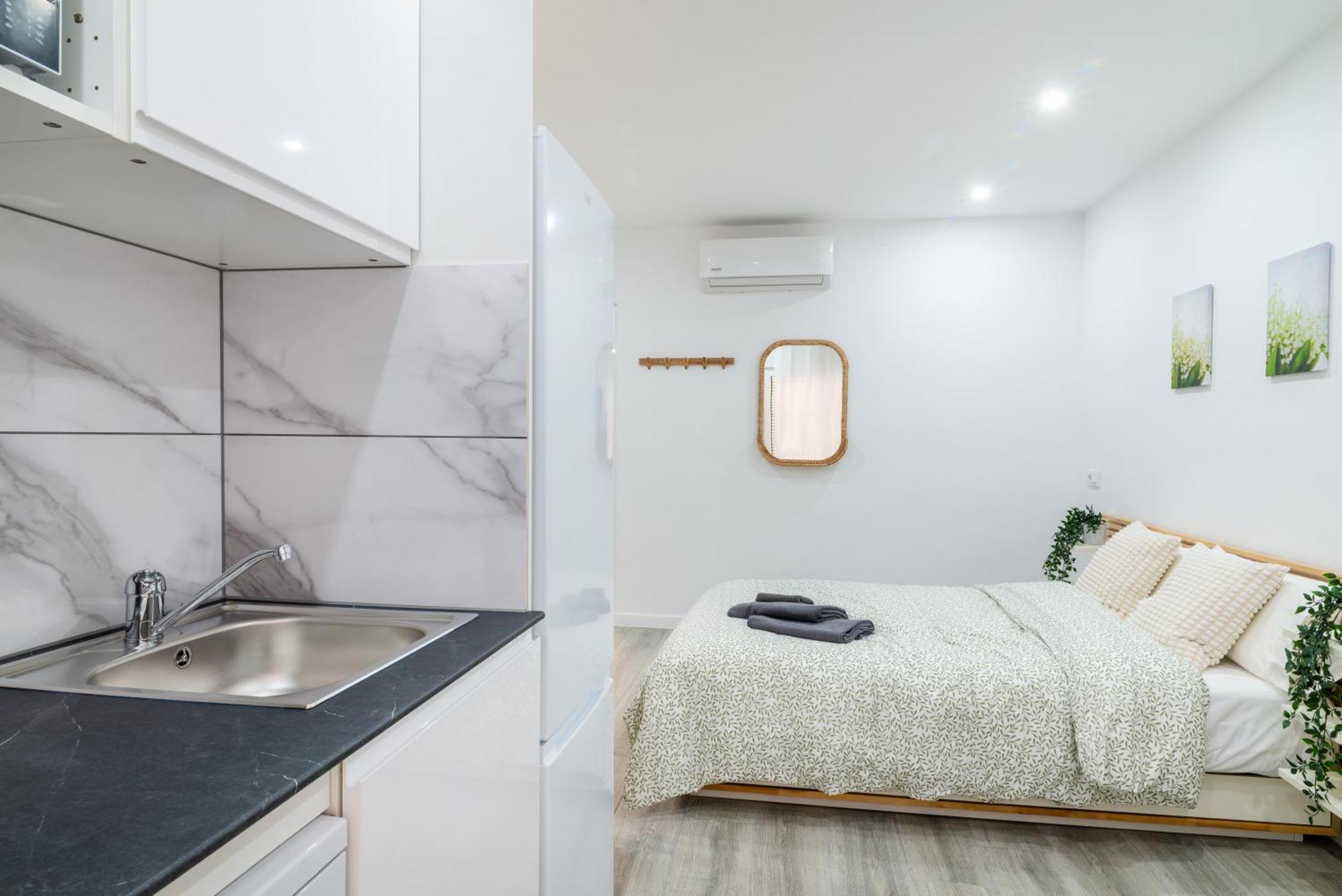 Pisos Plaza Paris Apartment