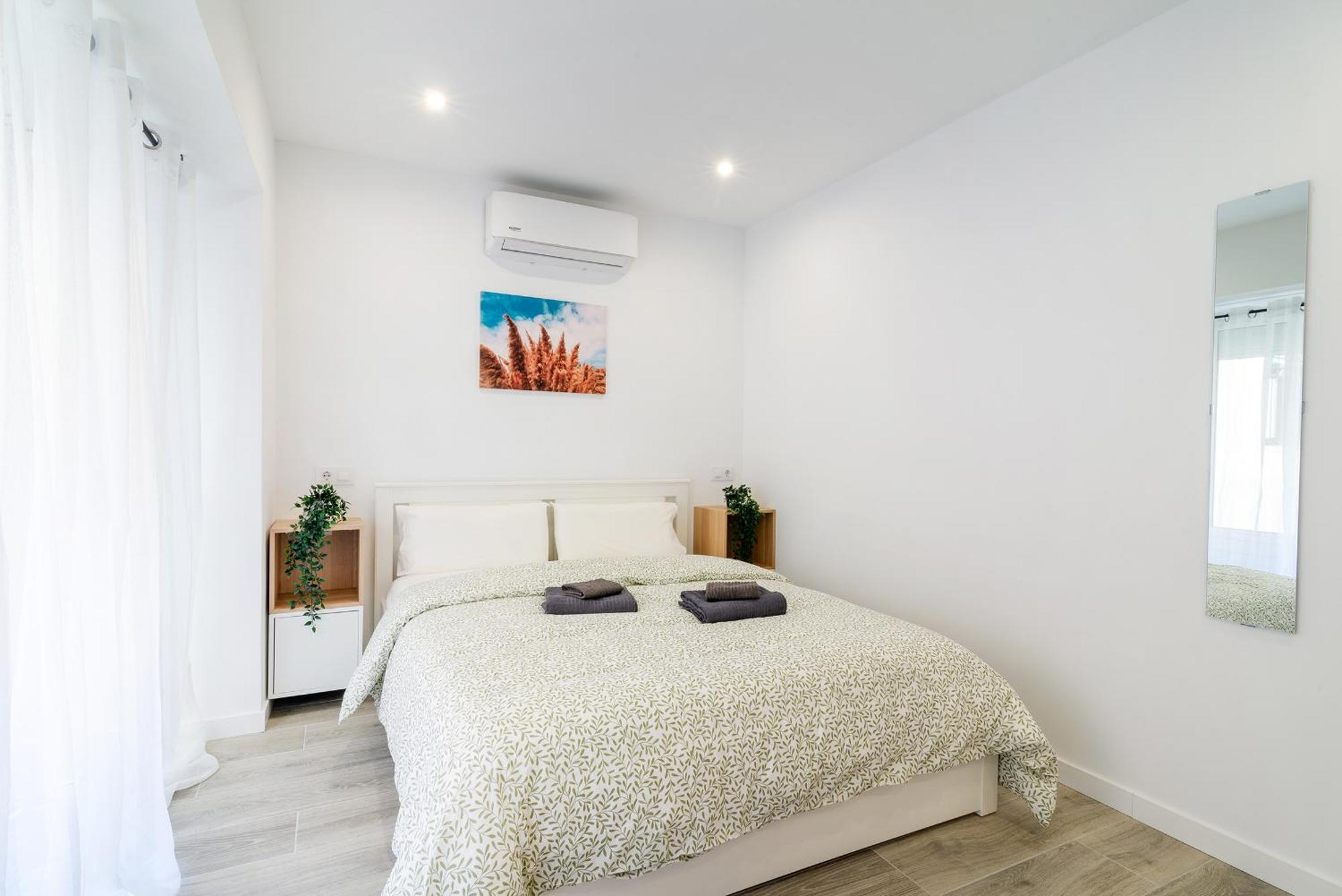 Pisos Plaza Paris Apartment