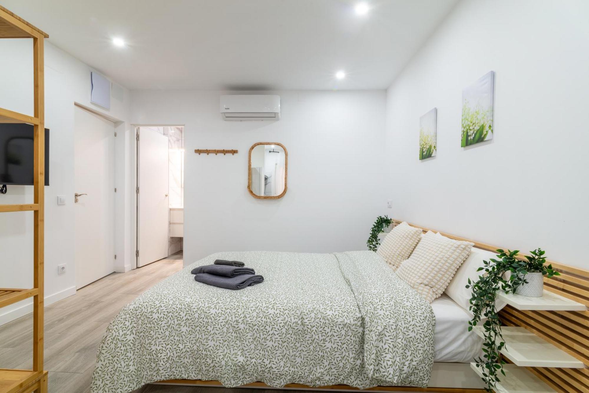 Pisos Plaza Paris Appartement *